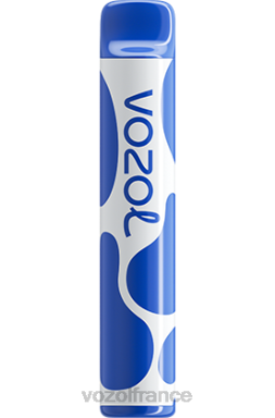 VOZOL Vape Shop - VOZOL JOYGO 600 tempête de bleuets 8J882390