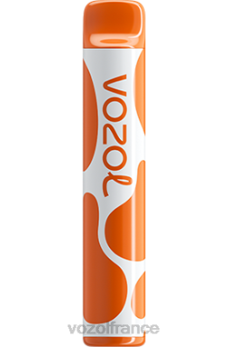VOZOL Vape - VOZOL JOYGO 600 amour 777 8J882384