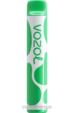 VOZOL Vape - VOZOL JOYGO 600 bubble-gum à la pastèque 8J882394