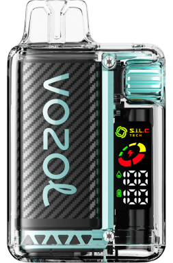 VOZOL Vape Store - VOZOL VISTA 16000/20000 menthe de Miami 8J8829